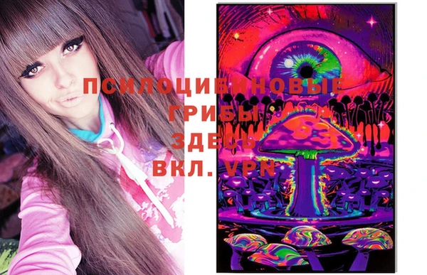 шишки Медногорск
