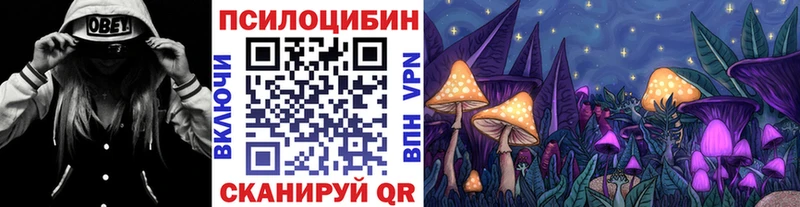 Псилоцибиновые грибы GOLDEN TEACHER  Чегем 